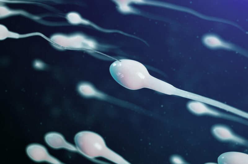 10 właściwości zdrowotnych spermy, które wprawią was w osłupienie!