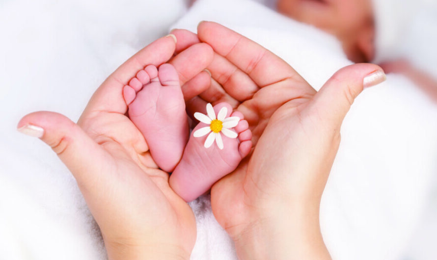 Informator „ABC opieki okołoporodowej” – aktualne standardy i prawa przysługujące kobietom w ciąży i połogu